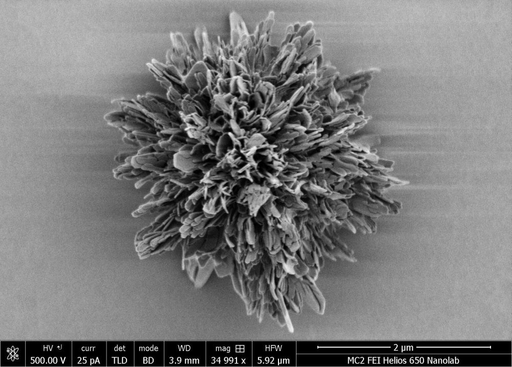 An image of the most complex synthetic microparticle in the world, made from curved gold-cysteine nanosheets. Image Credit: Wenfeng Jiang, Kotov Lab, University of Michigan.
