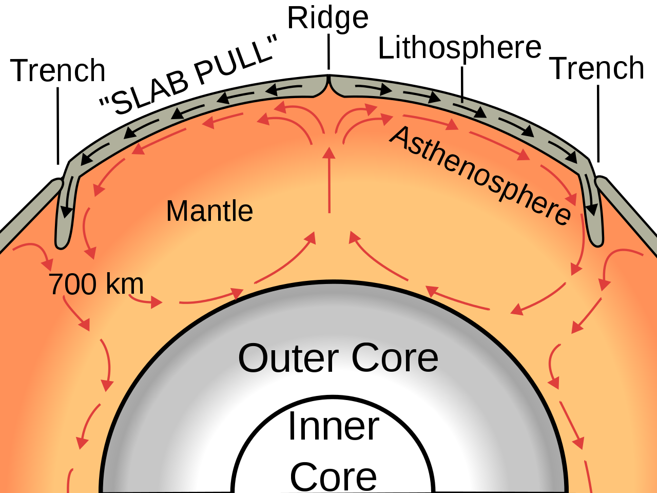 Oceanic crust is formed at an oceanic ridge, while the lithosphere is subducted back into the asthenosphere at trenches. Image Credit: Wikimedia Commons.