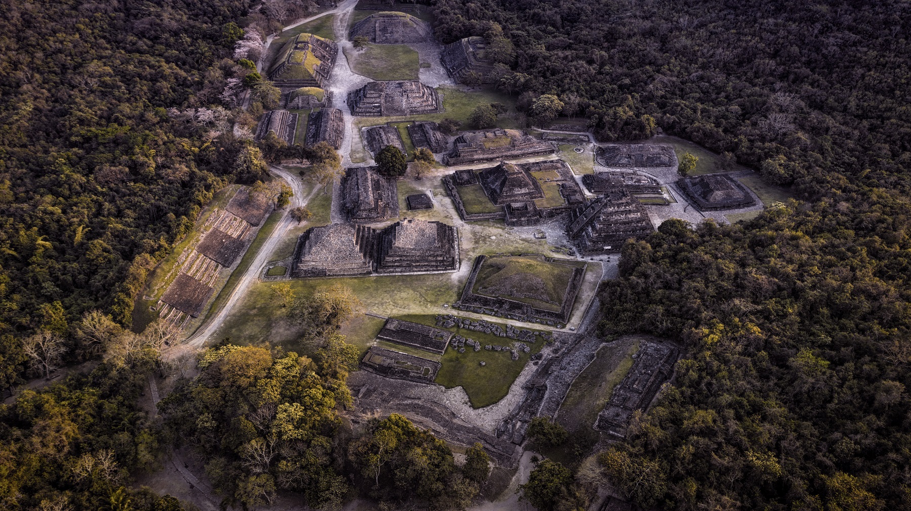 Aerial view of the El Tajín archaeological site surrounded by forest in Veracruz, Mexico.