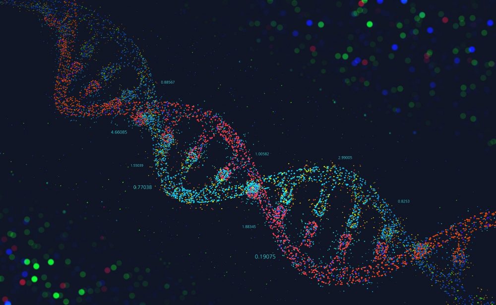 An illustration of the DNA helix. Shutterstock.