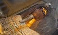 An Image of an ancient Egyptian mummy. Shutterstock.