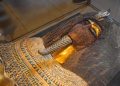 An Image of an ancient Egyptian mummy. Shutterstock.