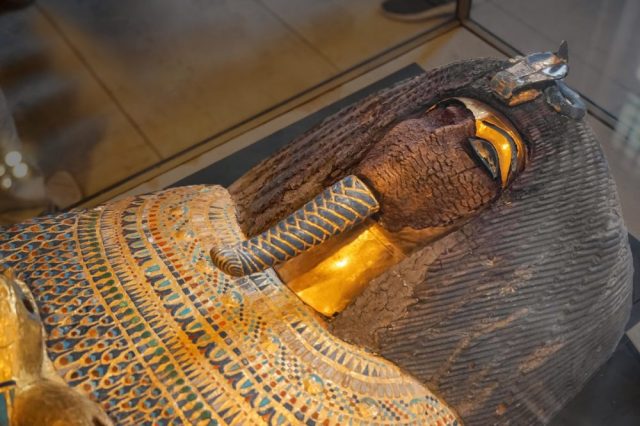 An Image of an ancient Egyptian mummy. Shutterstock.