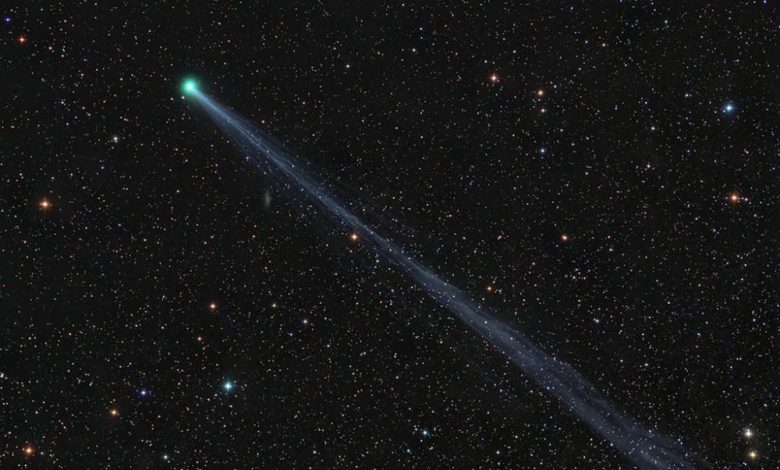 An image of Comet SWAN C/2020 F8 as seen on May 2. Image Credit: Damian Peach, Chilescope.