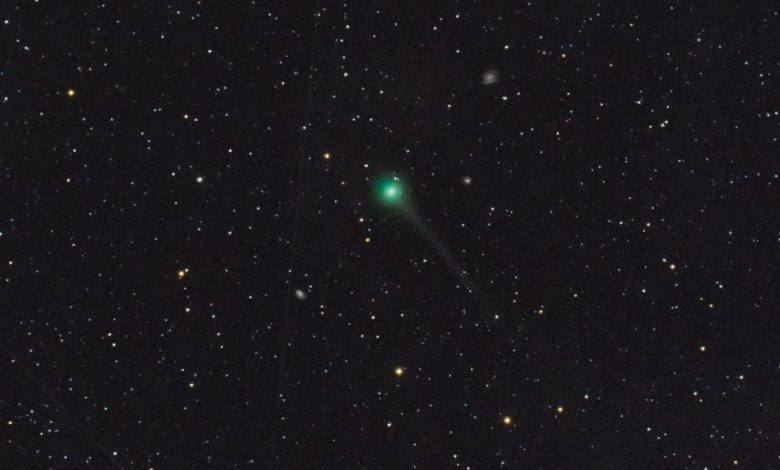 A view of Comet SWAN. Image Credit: E. Guido, M. Rocchetto, A. Valvasori.