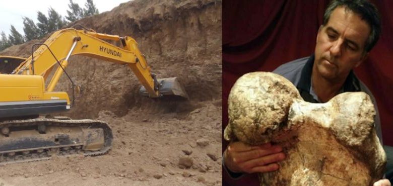 An image of the location where the creatures remains were found, and a researcher holding one of the fossilized remains of the giant mammal. Image Credit: Agencia CTyS.
