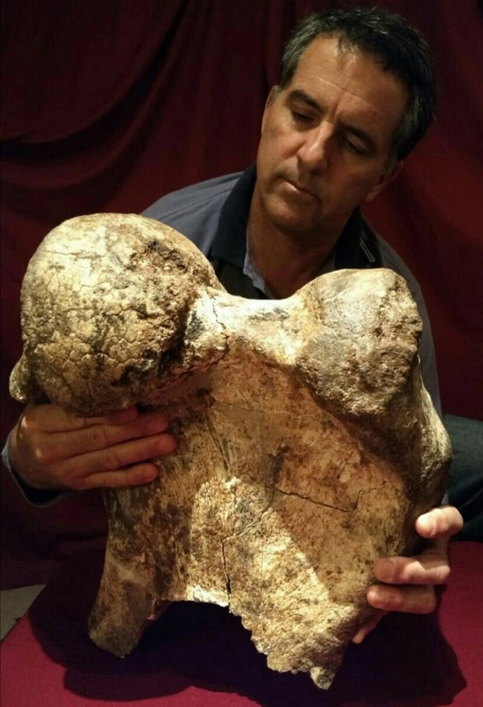 A researcher holding one of the fossilized remains of the giant creature. The remains were discovered in 2020. Image Credit: Agencia CTyS.