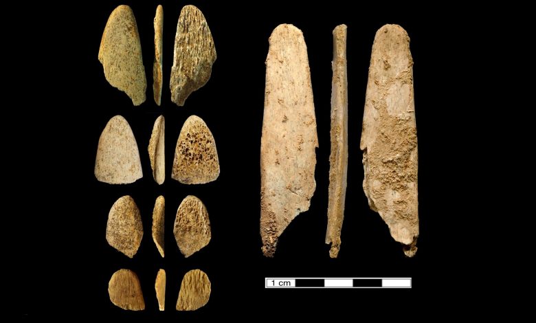 An image of the ancient tools analysed by researchers. Image Credit: UC Davis.