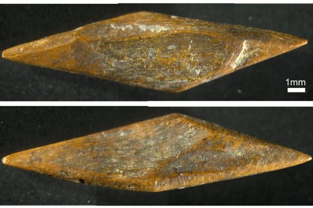 An image of a small arrowhead discovered at the Fa-Hien Lena cave. Image Credit: M. C. Langley.