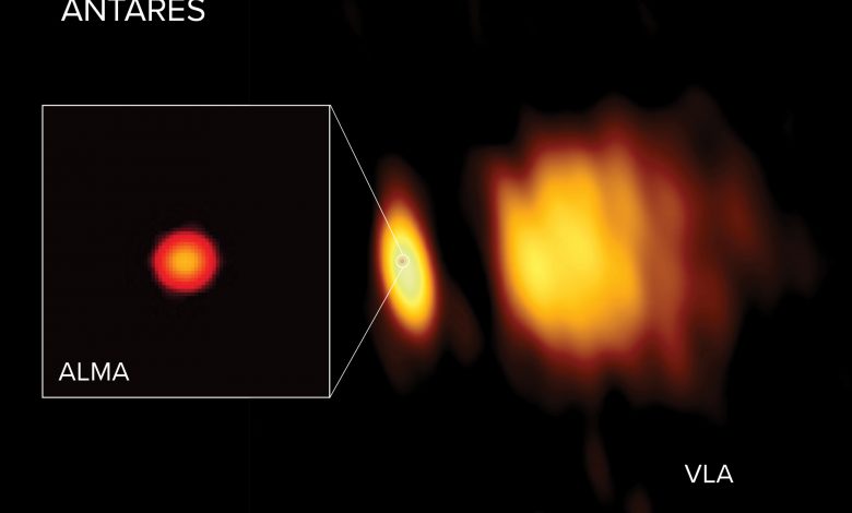 Radio images of Antares with ALMA and the VLA. Image Credit: ALMA (ESO/NAOJ/NRAO), E. O’Gorman; NRAO/AUI/NSF, S. Dagnello.