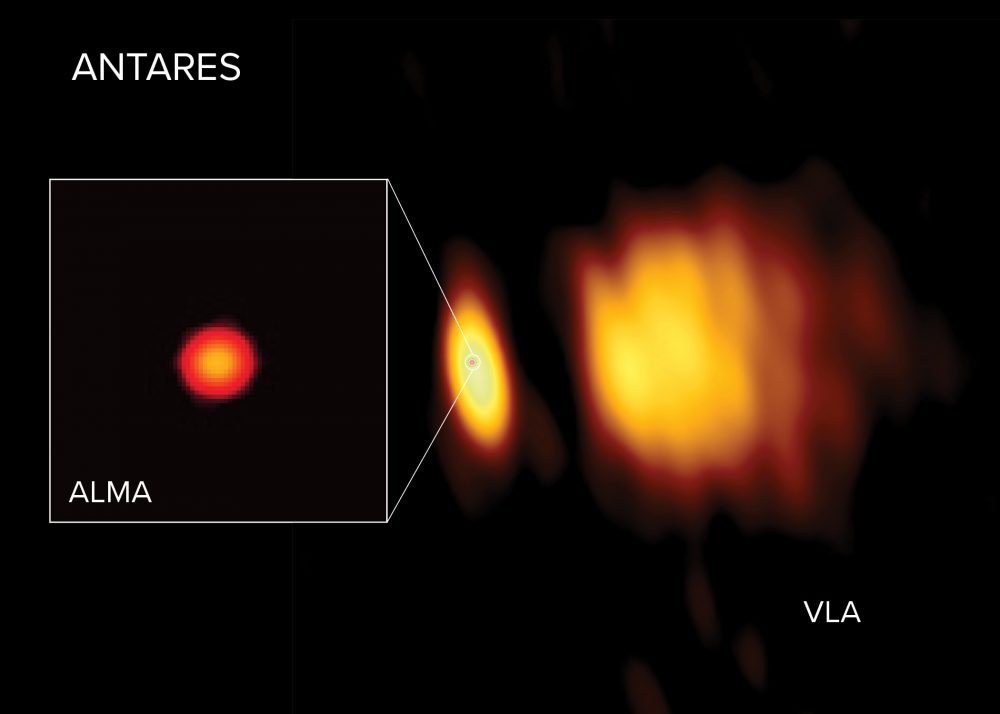 Radio images of Antares with ALMA and the VLA. Image Credit: ALMA (ESO/NAOJ/NRAO), E. O’Gorman; NRAO/AUI/NSF, S. Dagnello.