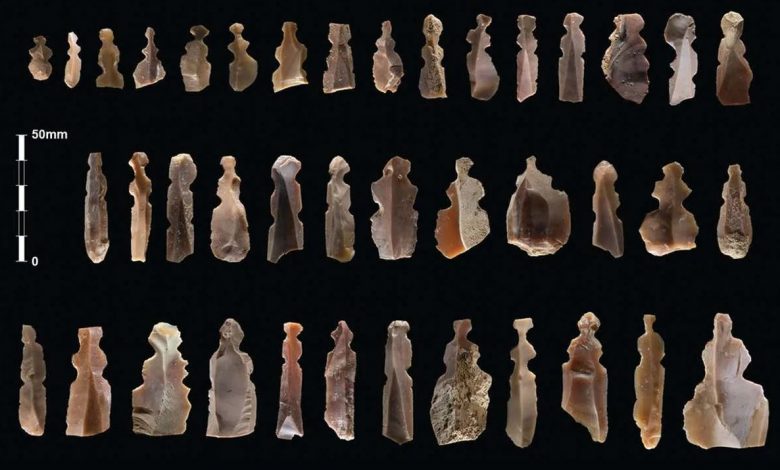 An image showing the numerous ancient figurines discovered by archaeologists. Image Credit: Kharaysin archaeological team.