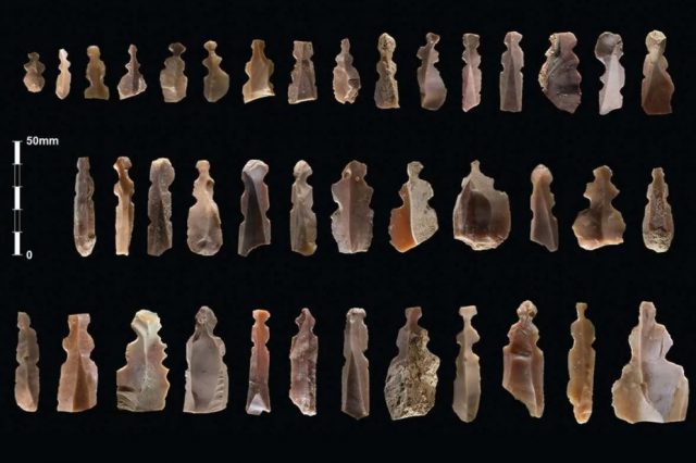 An image showing the numerous ancient figurines discovered by archaeologists. Image Credit: Kharaysin archaeological team.