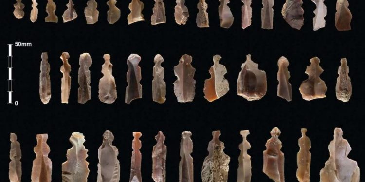 An image showing the numerous ancient figurines discovered by archaeologists. Image Credit: Kharaysin archaeological team.