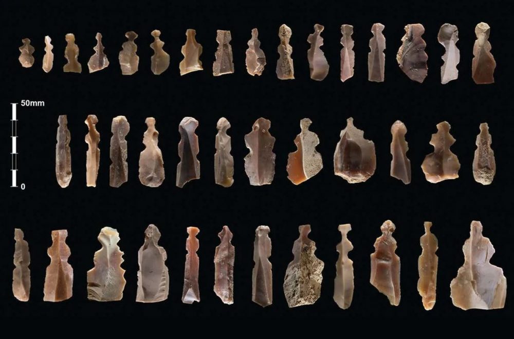 An image showing the numerous ancient figurines discovered by archaeologists. Image Credit: Kharaysin archaeological team.