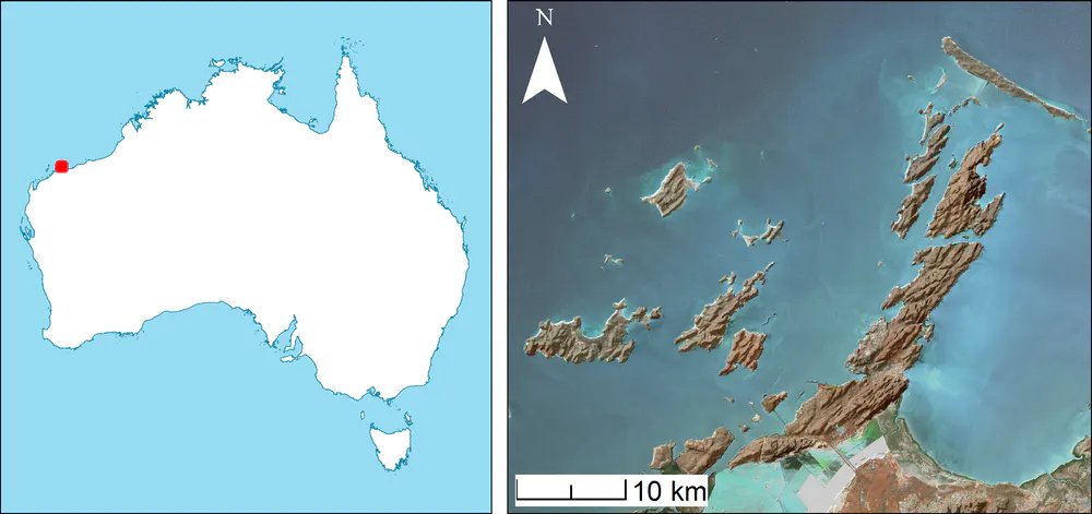 The archaeological sites location in northwest Australia seen in the left image, and the Dampier Archipelago, right. Image Credit: Copernicus Sentinel Data and Geoscience Australia.