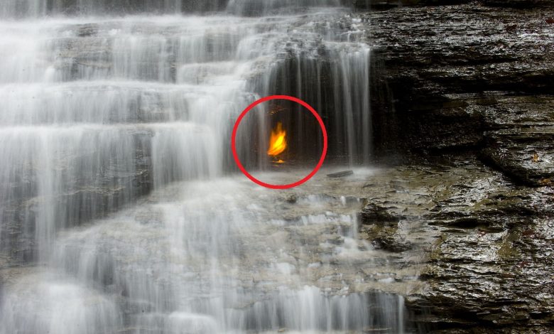 A close-up of the gas-lit flame below Eternal Flame Falls in Chestnut Ridge Park, Orchard Park, NY. Image Credit: Wikimedia Commons.