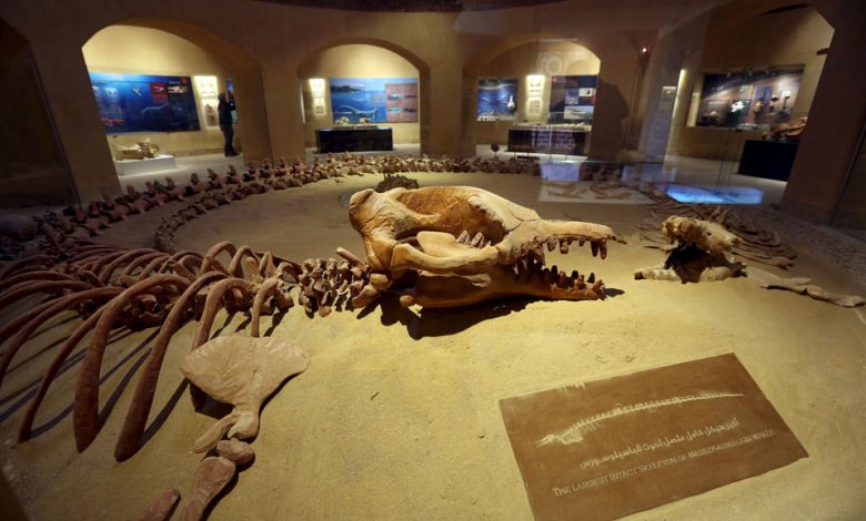 valley of whales