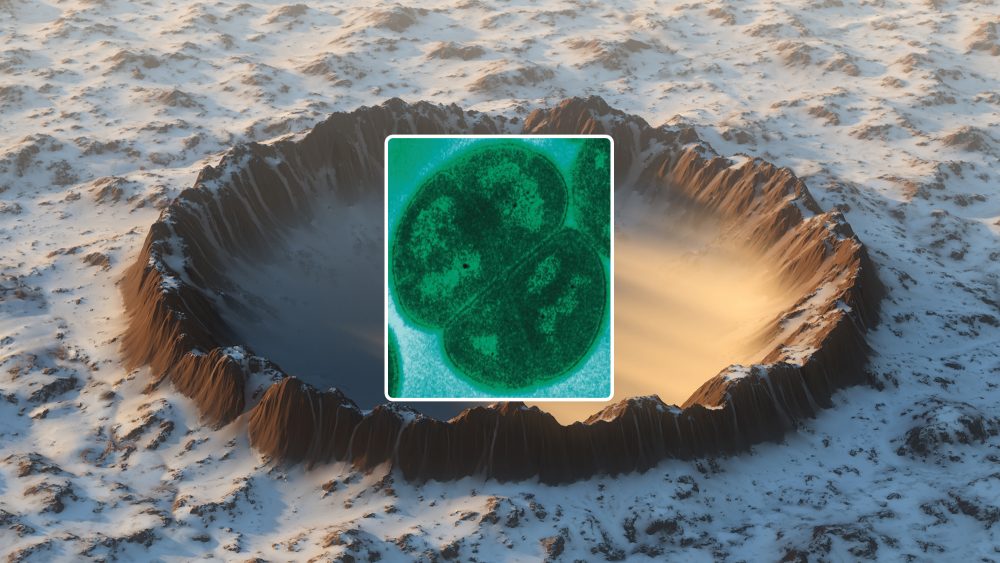 An artist's illustration of a crater surrounded by Ice, and a transmission electron microgragh (TEM) of Deinococcus radiodurans. Shutterstock / Wikimedia Commons / Curiosmos.