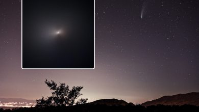 An image of comet NEOWISE as seen from Earth (right) and a view of the comet as seen by the Hubble Space Telescope (left). Image Credit: NASA / Curiosmos.