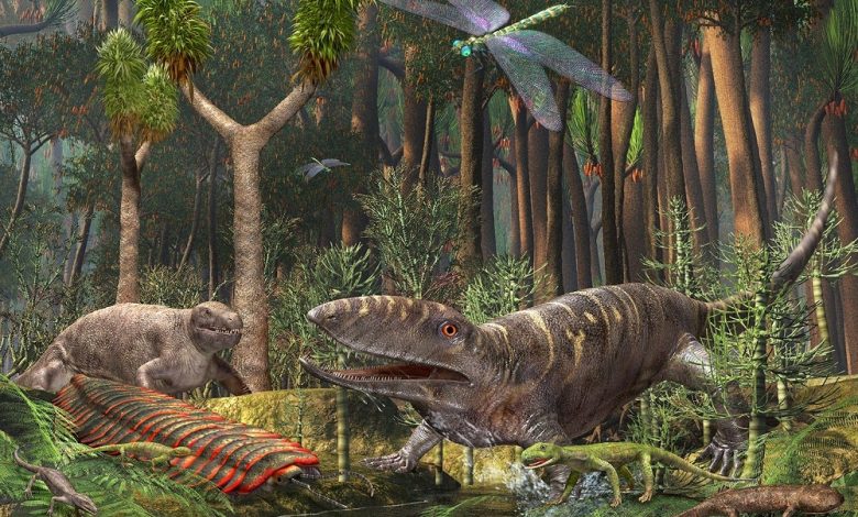 Carboniferous Period