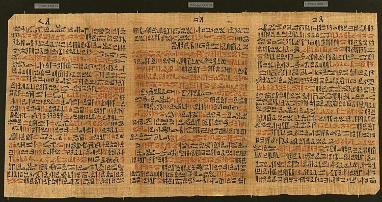 Ebers Papyrus.