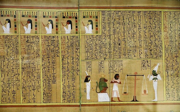 Egyptian Papyrus