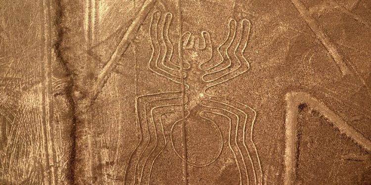 An aerial view of the Nazca spider. Jumpstory.