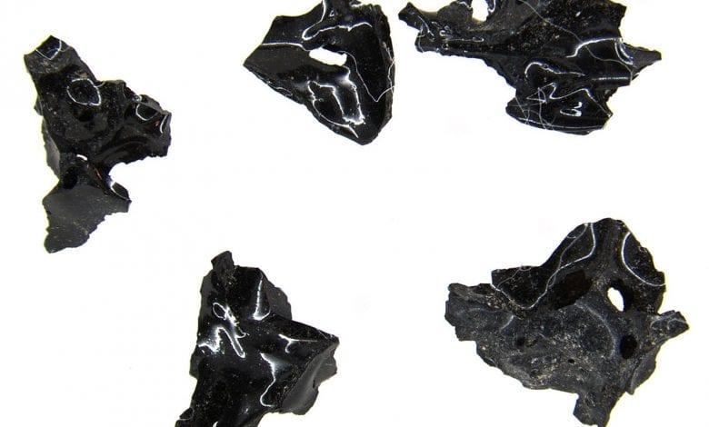 Fragments from the vitrified brain as it was discovered having a black glossy color. Source: National Geographic UK