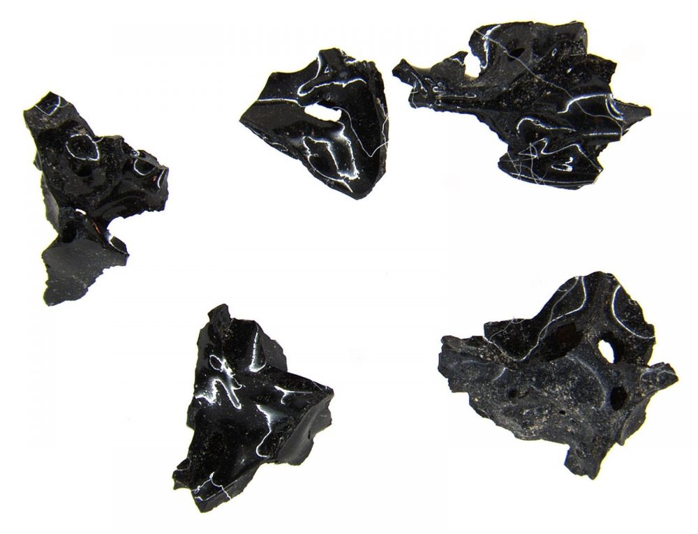 Fragments from the vitrified brain as it was discovered having a black glossy color. Source: National Geographic UK