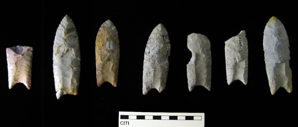 Clovis points from the Rummells-Maske Cache Site in Iowa. Source: Wikipedia