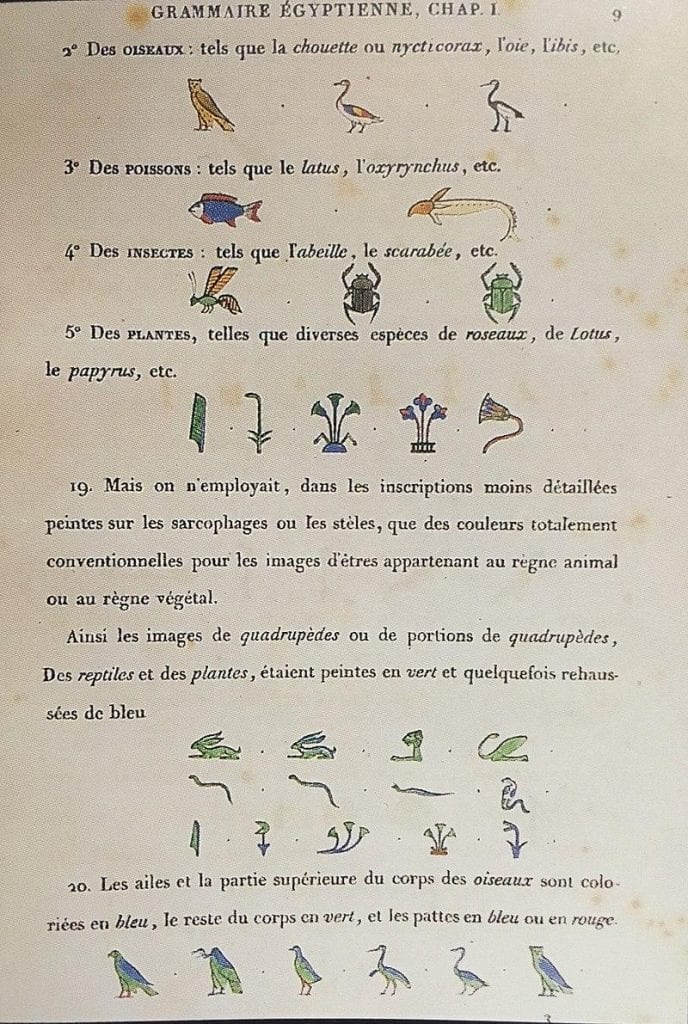 One of the pages of the grammar book Jean Champollion could not finish during his lifetime. Grammaire égyptienne was published in 1836 by his brother. 
