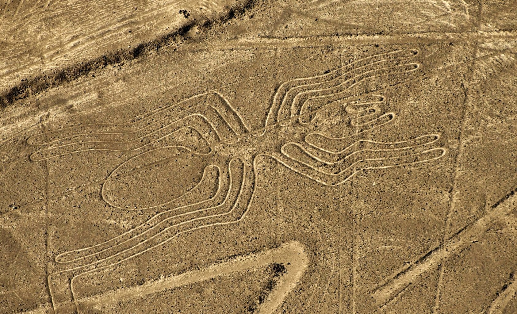 A Nazca geoglyph that closely resembles an ant. Credit: History.com