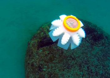 The original prototype of the Jellyfish Robots revealed in 2018.