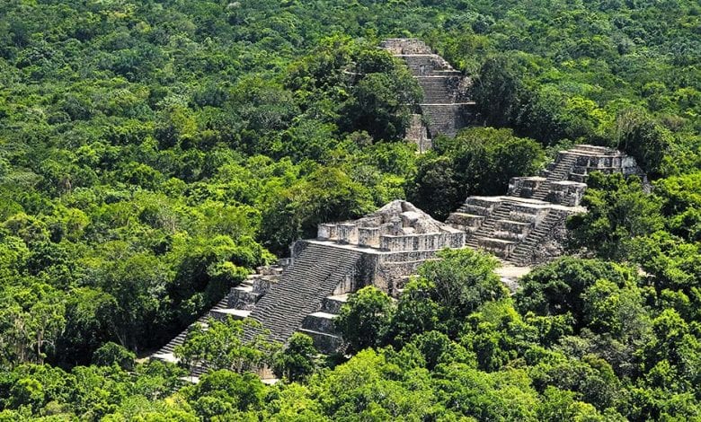 Mayan Ruins in the ancient site of Calakmul. Credit: All Mexico 365