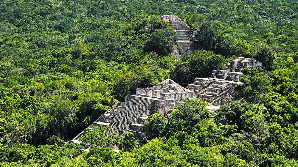 Mayan Ruins in the ancient site of Calakmul. Credit: All Mexico 365