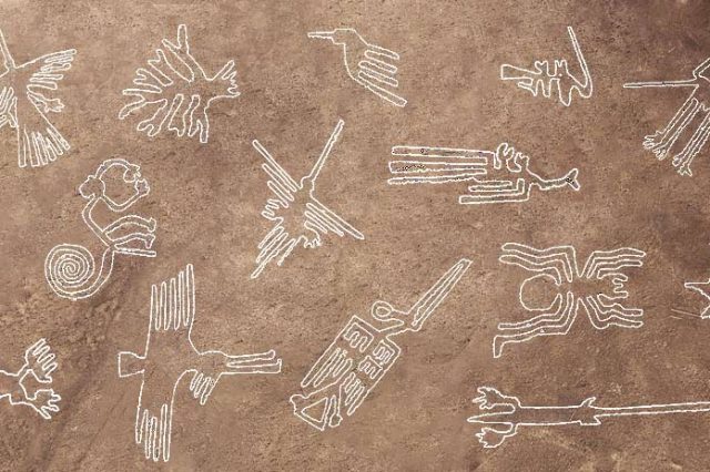 A compilation of the most famous Nazca Geoglyphs. Credit: Machu Travel Peru