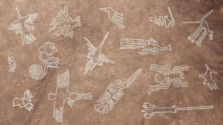 A compilation of the most famous Nazca Geoglyphs. Credit: Machu Travel Peru