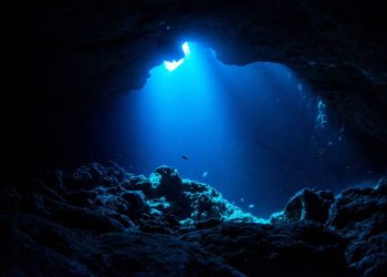 A photograph of the ocean. Credit: Shutterstock