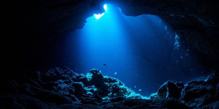 A photograph of the ocean. Credit: Shutterstock