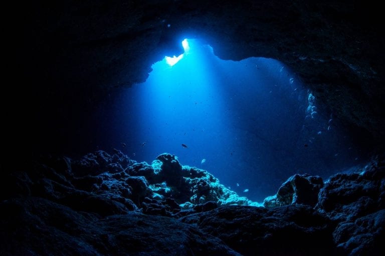 A photograph of the ocean. Credit: Shutterstock