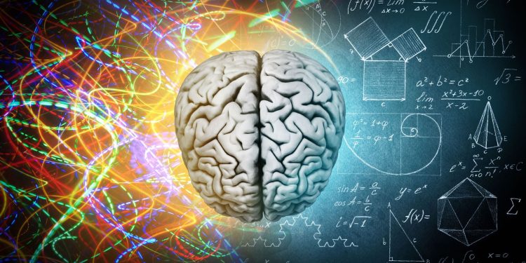 Artistic illustration of the complex human brain. What caused the sudden growth of the brain in early humans? Was it truly psilocybin or should this theory be unheeded? Credit: Shutterstock