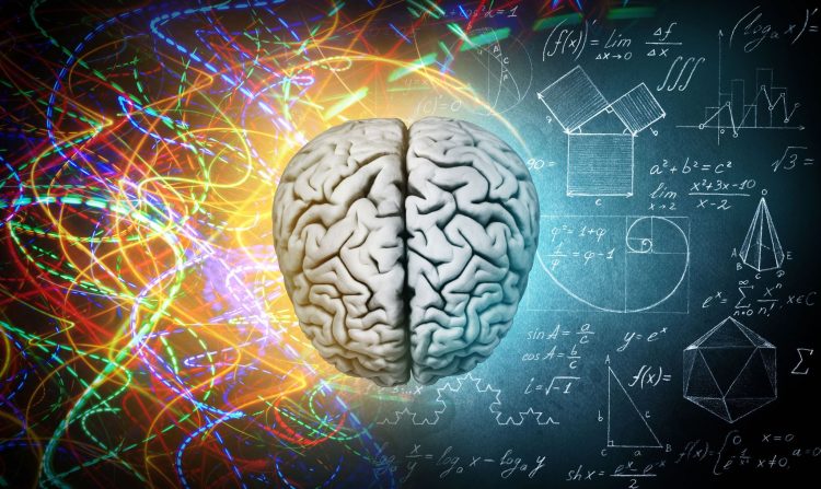 Artistic illustration of the complex human brain. What caused the sudden growth of the brain in early humans? Was it truly psilocybin or should this theory be unheeded? Credit: Shutterstock