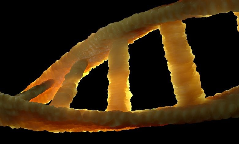 Israeli scientists have succeeded in their attempts to partly reverse cellular aging. Credit: Jumpstory