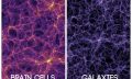 A comparison showing the human brain and the universe. Depositphotos.