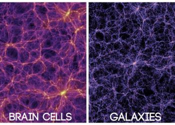 A comparison showing the human brain and the universe. Depositphotos.