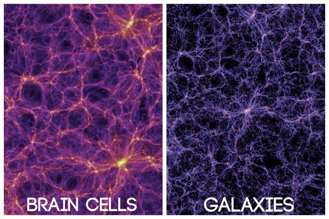 A comparison showing the human brain and the universe. Depositphotos.
