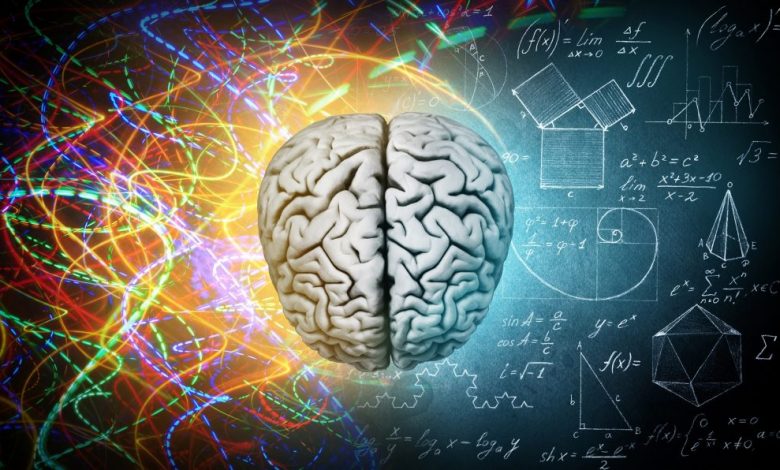 Artistic illustration of the complex human brain. What caused the sudden growth of the brain in early humans? Was it truly psilocybin or should this theory be unheeded? Credit: Shutterstock