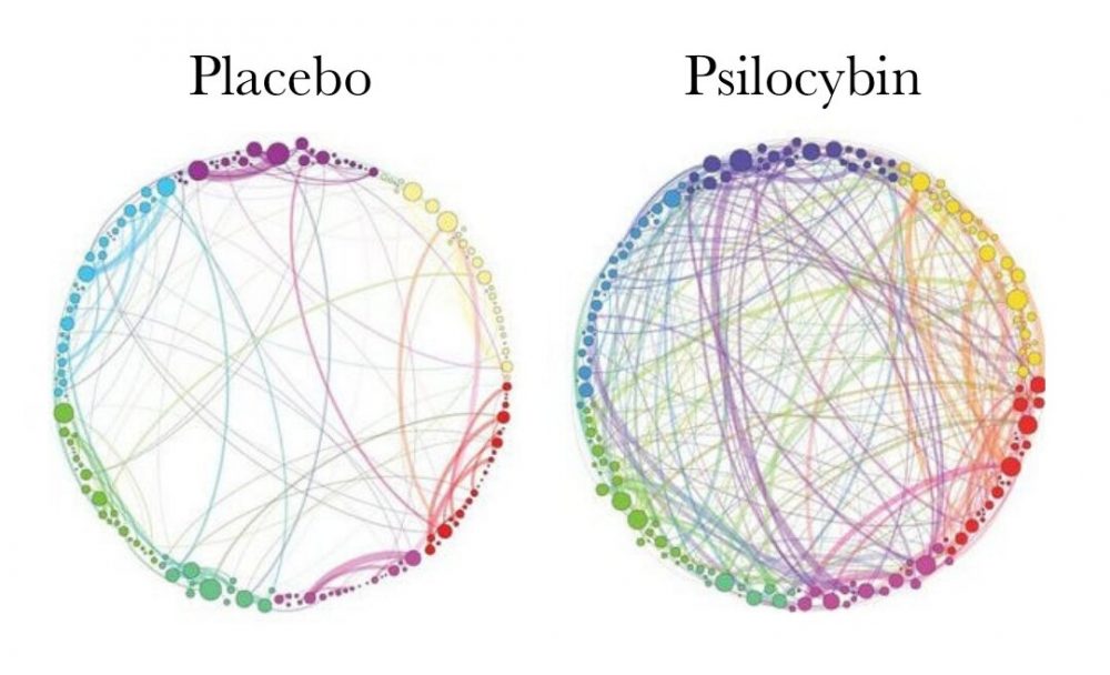 A small comparison of the effects of placebo and psilocybin on the brain. You can see the larger number of connections between different areas of the brain on the psilocybin side. Credit: G. Petri, P. Expert, F. Turkheimer, R. Carhart-Harris, D. Nutt, P. J. Hellyer and F. Vaccarino 