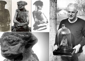 The mummy of Mount San Pedro. Credit: Dreamcatcher Reality